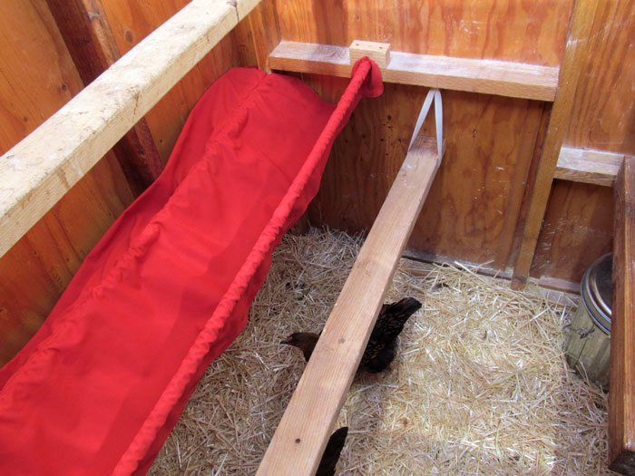 Virtual Chicken Coop Tour Krewe of Coops 4 Coop Thoughts Blog