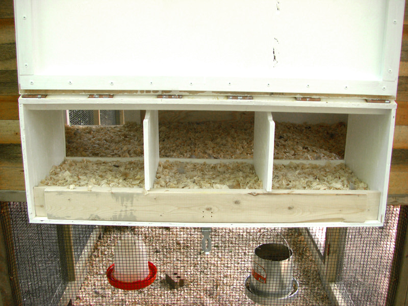 CopperTop Chicken Coop Coop Thoughts Blog