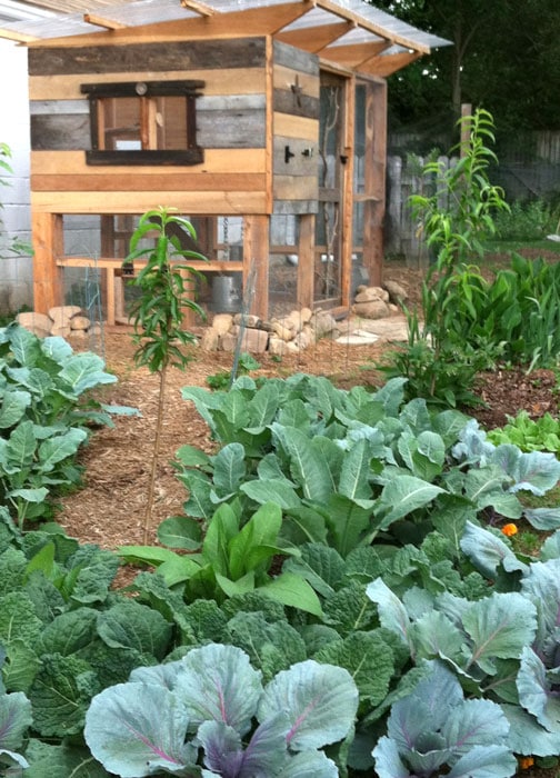 Nashville Chicken Coop Build Garden Coop Plans Coop Thoughts Blog