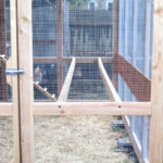 Two chicken perches made of two-by-fours run in parallel the width of The Garden Loft