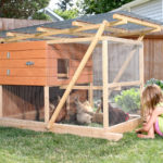 Girl sits in front of small mobile chicken coop with three chickens inside