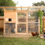 Garden Coop walk-in chicken coop from plans with two children holding and feeding pet chickens