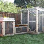 Series of three secure enclosed backyard chicken runs built from The Garden Run plans
