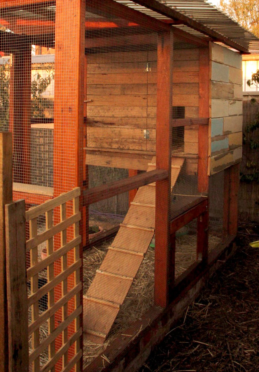 Rob and Tansy's Veggie Garden and Chicken Coop, Bendigo, Victoria