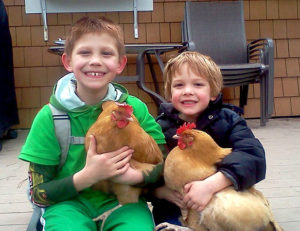 Brothers holding their laying hens.