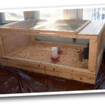 Wooden chick brooder made from The Garden Run plans
