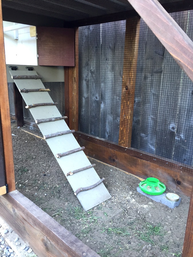 Chicken Coop Tour No. 14 Fifteen (Anything But) Basic Chicken Coops