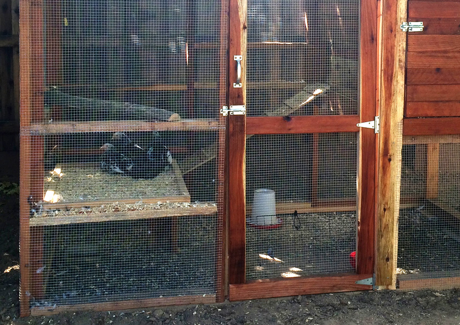 Chicken Coop Tour No. 5 Nine Garden Coops with Clever Modifications and Accessories The