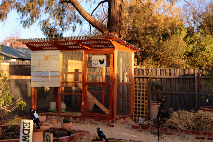 Rob and Tansy's Veggie Garden and Chicken Coop, Bendigo, Victoria
