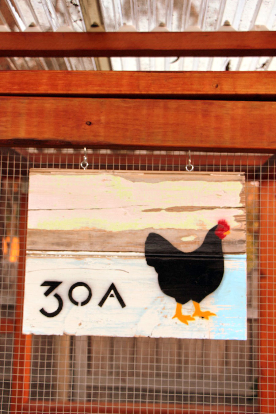 Rob and Tansy's Veggie Garden and Chicken Coop, Bendigo, Victoria