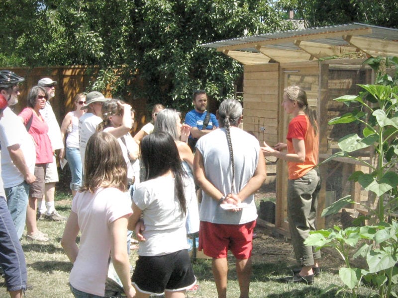 About Us The Garden Coop