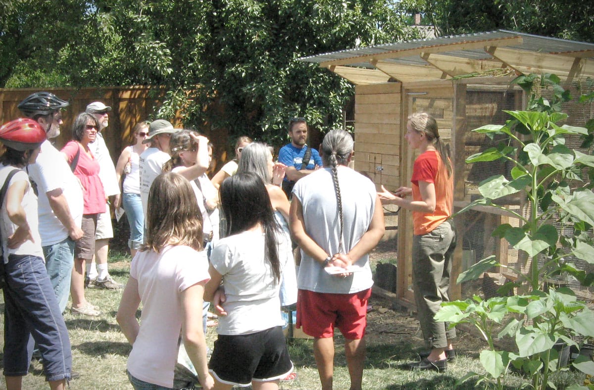 About Us The Garden Coop