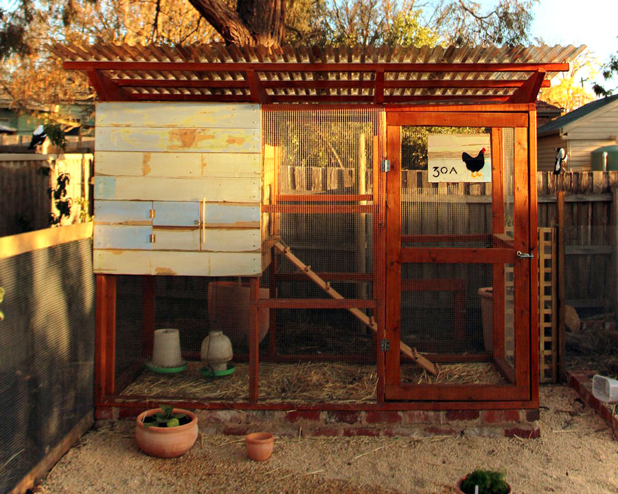 Rob and Tansy's Veggie Garden and Chicken Coop, Bendigo, Victoria