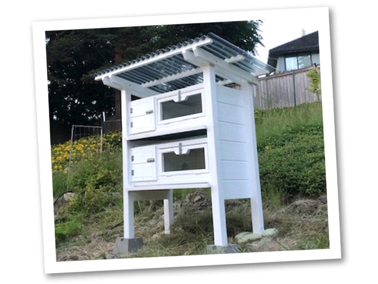 The Quail Hutch Backyard Quail Coop Plans | The Garden Coop