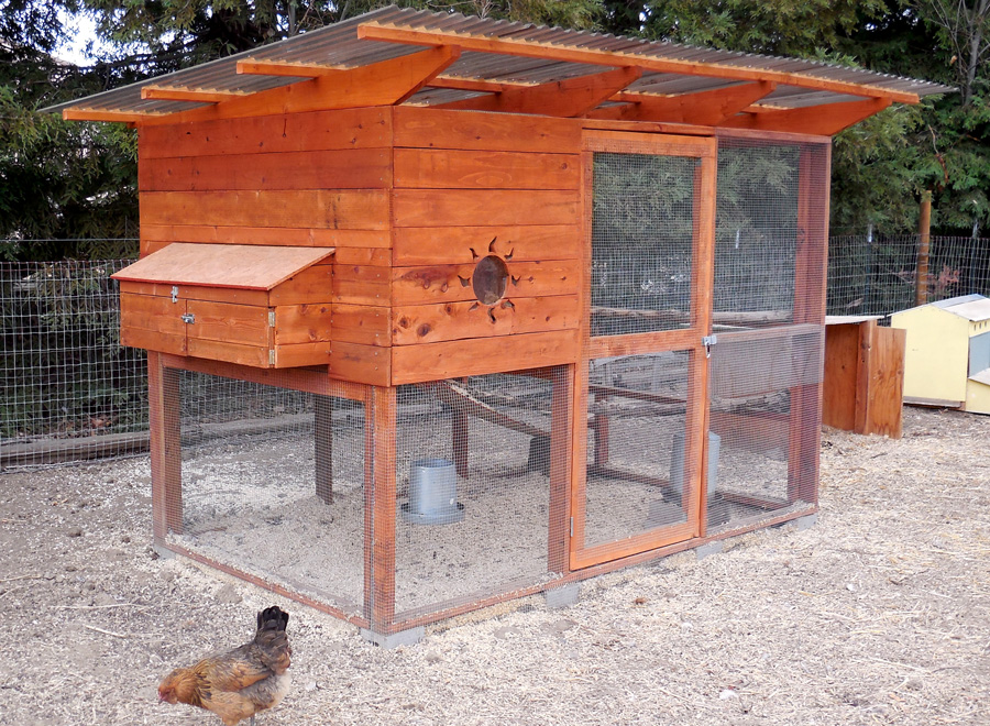 Rob and Family's California Chicken Coop + Goats The Garden Coop