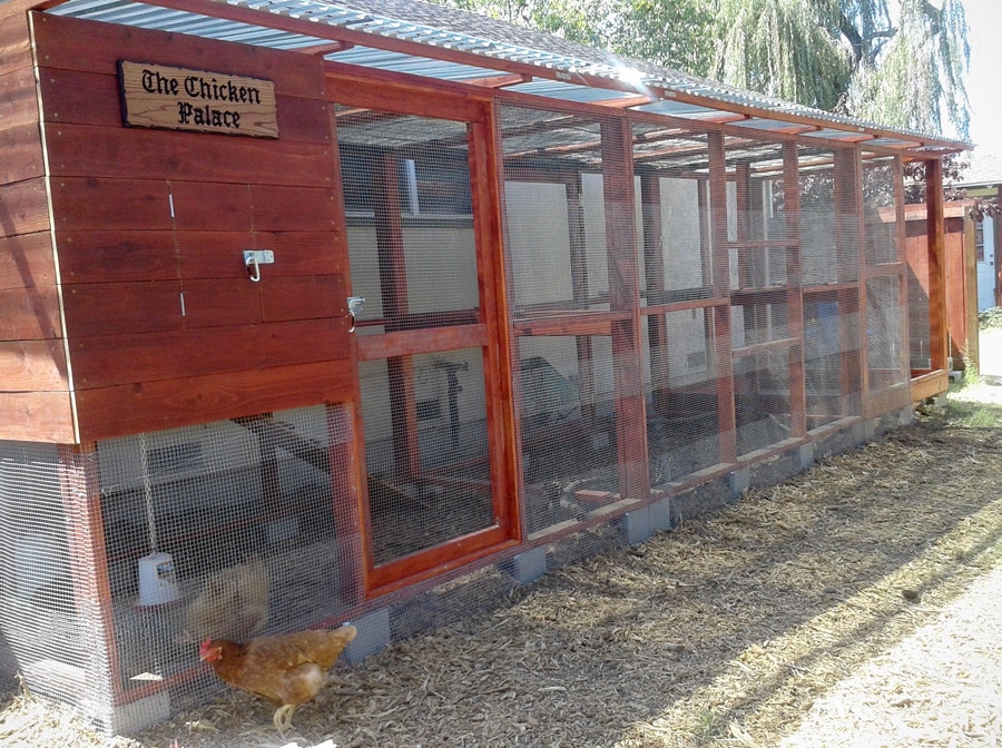 Chicken Coop Tour No. 5 Nine Garden Coops with Clever Modifications and Accessories The