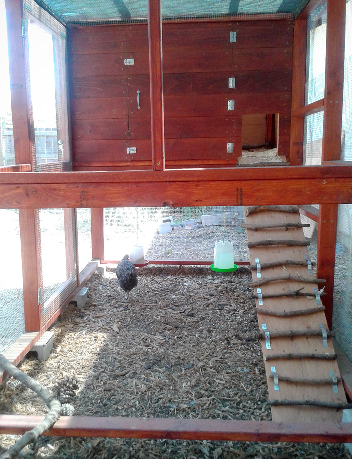 Chicken Coop Tour No. 5 Nine Garden Coops with Clever Modifications and Accessories The