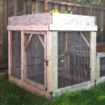 Secure chicken run fully enclosed with a garden bed on top