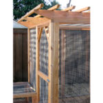 View of a walk-in chicken run with a pergola top