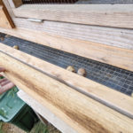 La tapa de recogida de huevos abierta y cinco huevos de codorniz en diseño The Quail Hutch con suelo de alambre inclinado