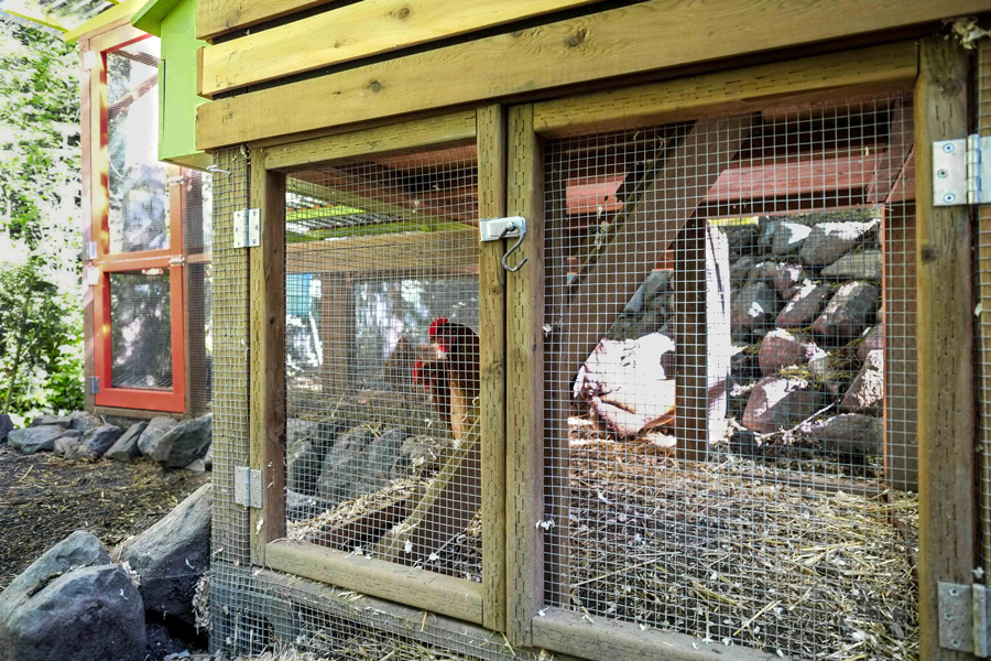 Chicken Coop Tour No. 5 Nine Garden Coops with Clever Modifications and Accessories The