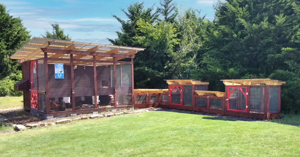 Nine Secure Chicken Runs Built Using The Garden Run Plans