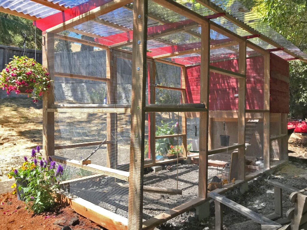 View of a Garden Coop large chicken coop build from behind