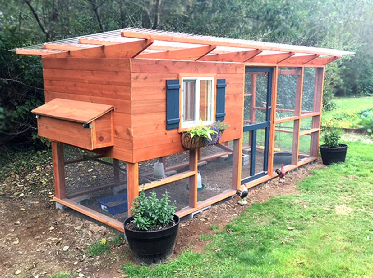 Examples of Large Backyard Chicken Coops The Garden Coop