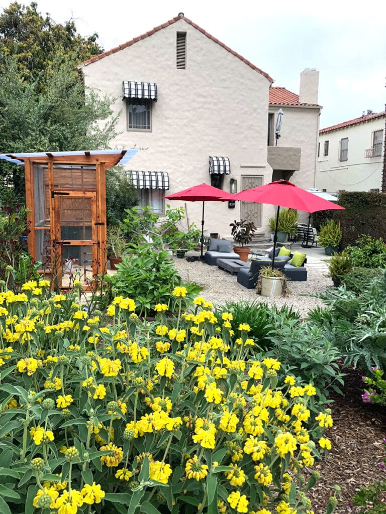 How to build an attractive chicken coop in your front yard
