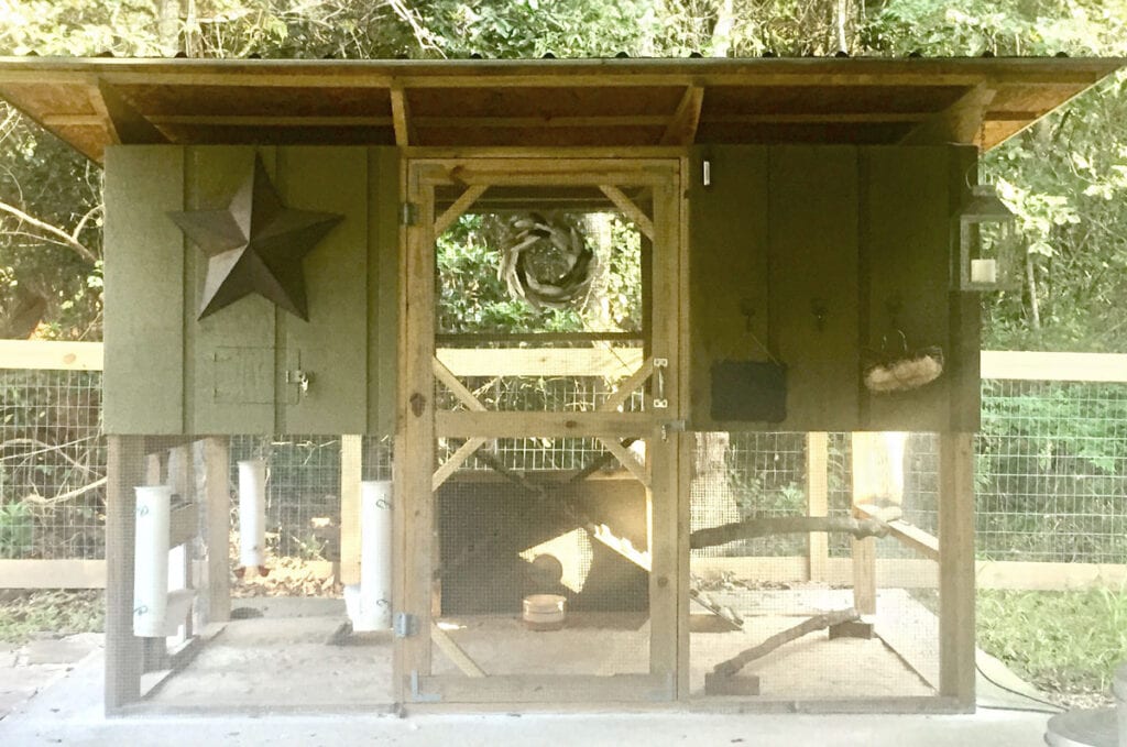Backyard walk-in chicken coop with two henhouses