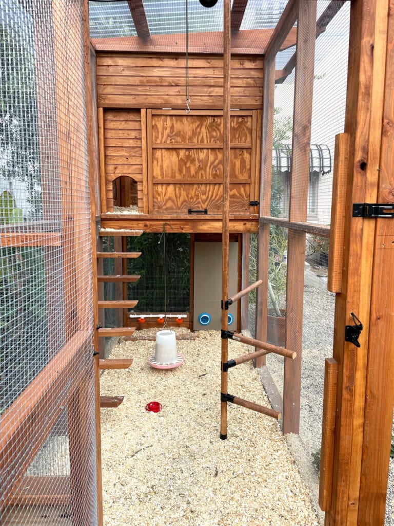Extra tall chicken coop with perches and roosts in Los Angeles city front yard