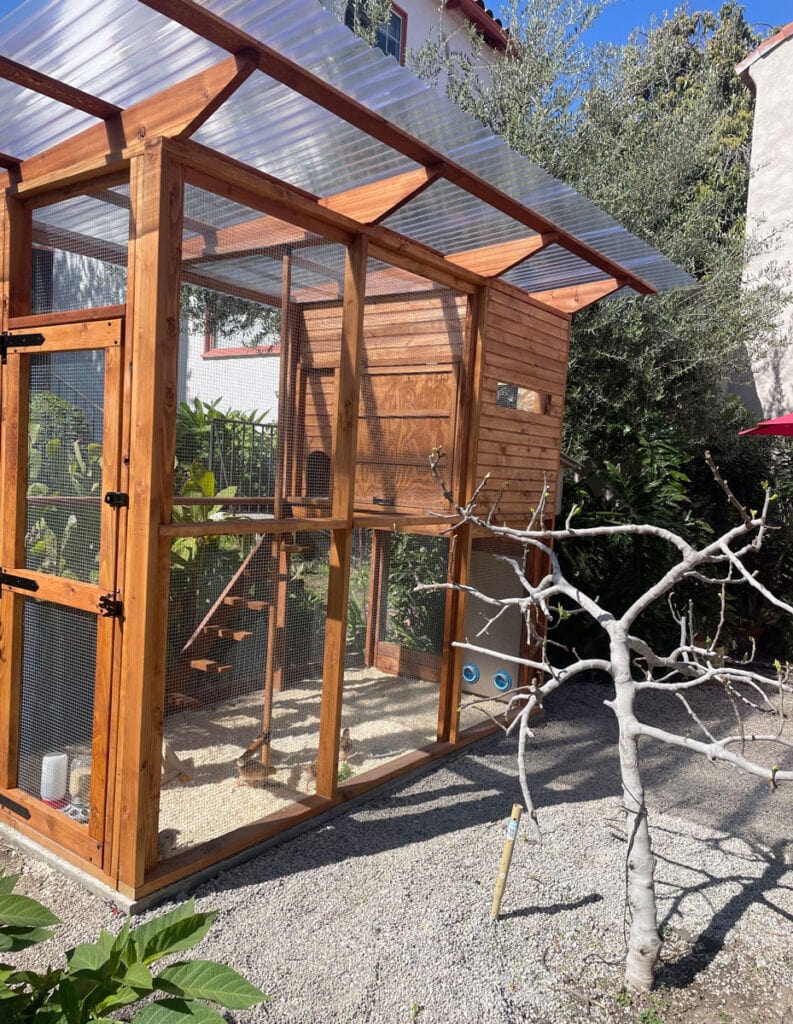 How to build your own chicken coop for the front or back yard