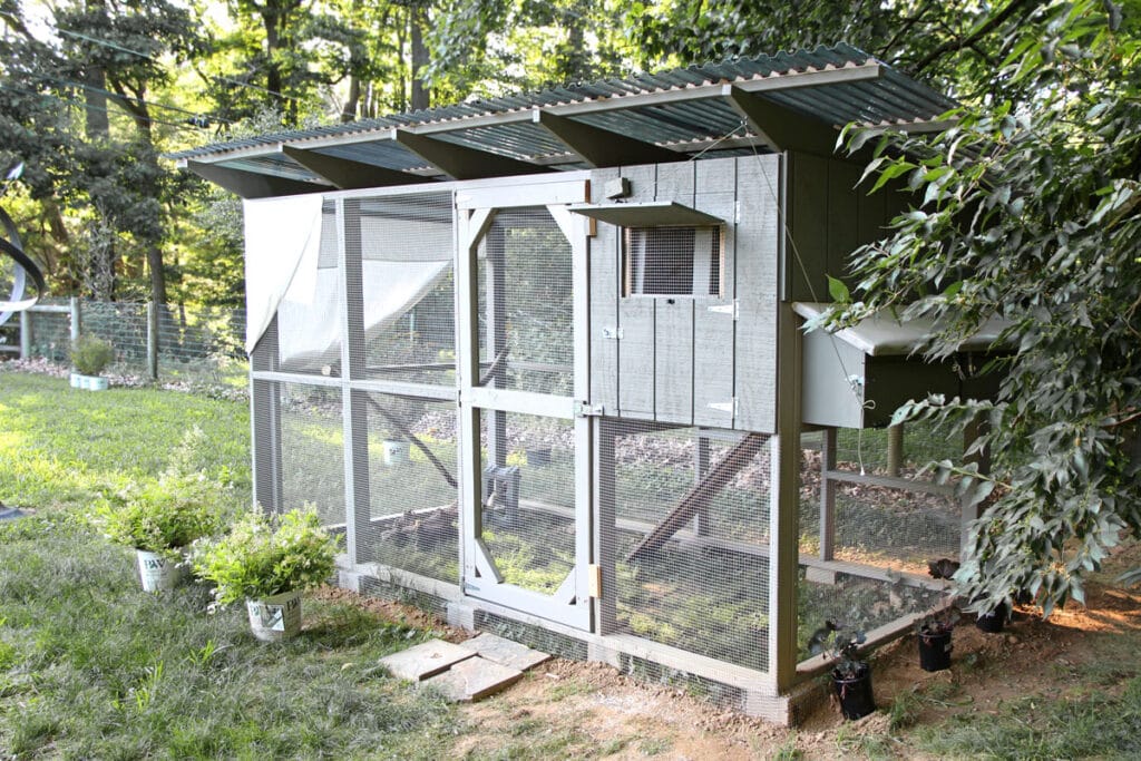 Large backyard chicken coop with external nest boxes window and shade cloth