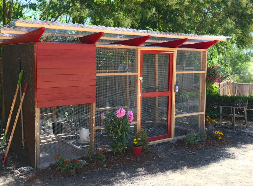 Large walk-in chicken coop with red painted accents