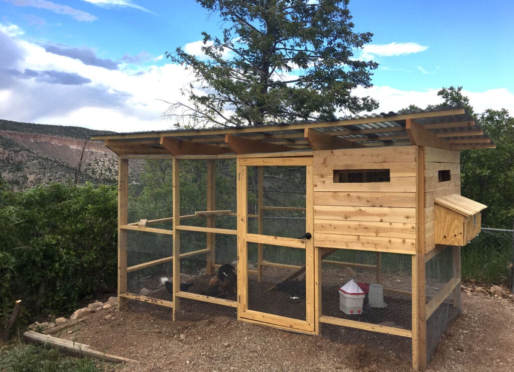 Large secure walk-in chicken coop with a view across a valley in New Mexico