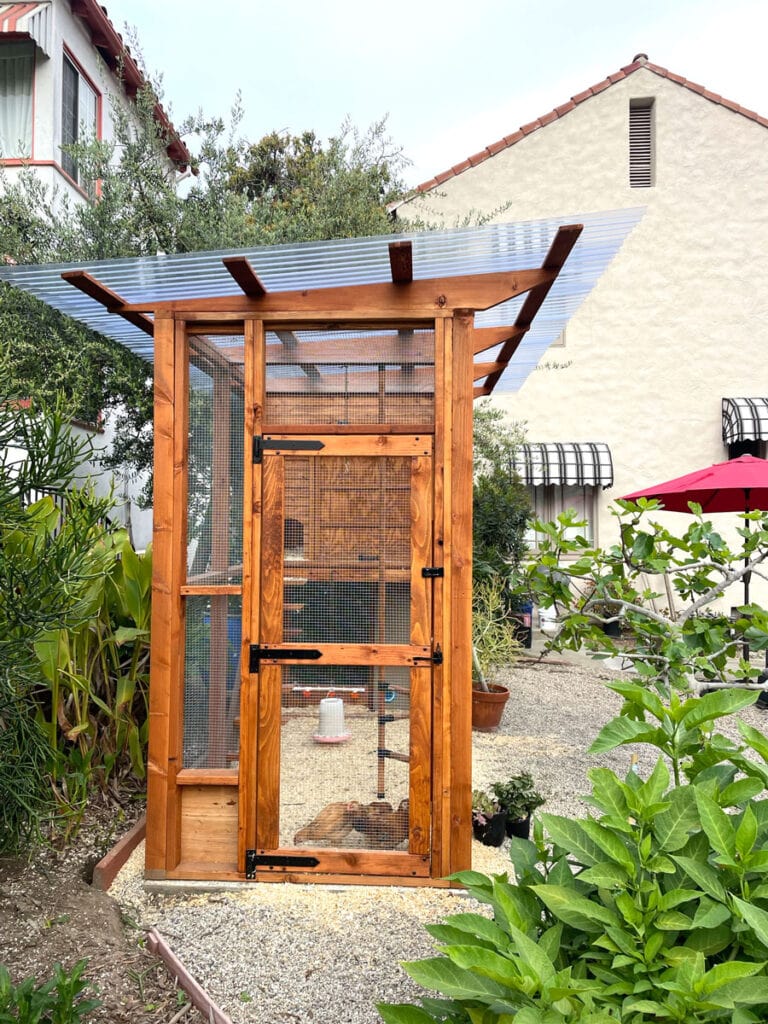 Modern chicken coop from plans in a Los Angeles front garden