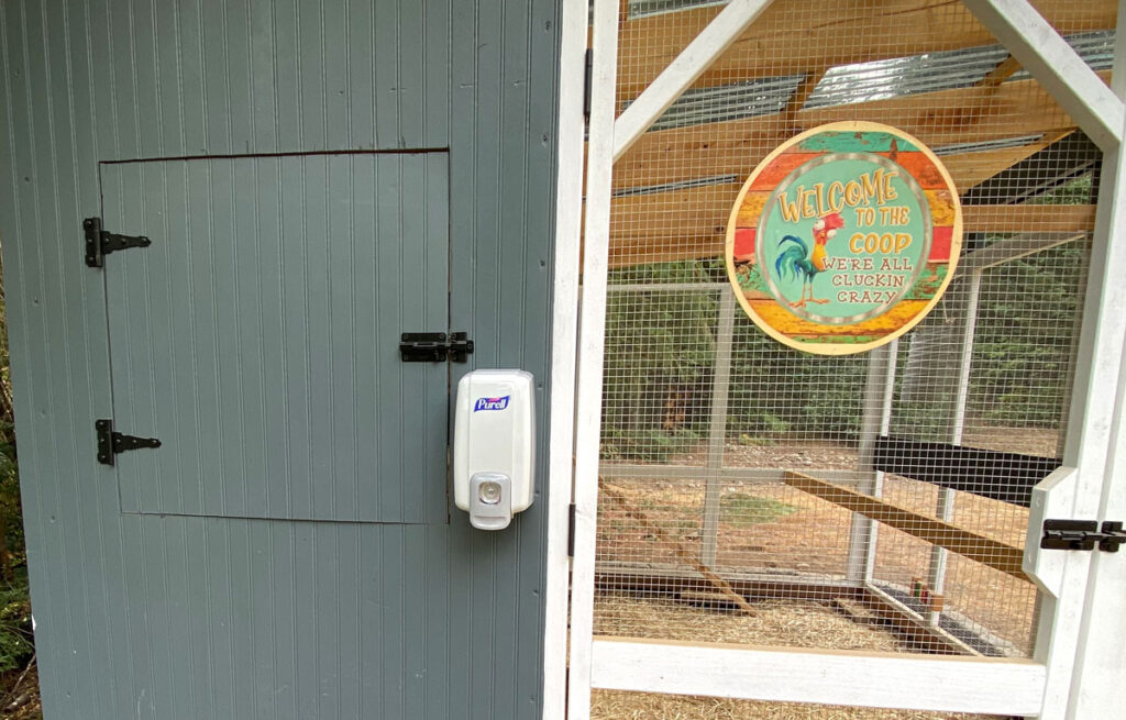 Área de recolección de huevos con estación de desinfección en el gallinero del patio trasero.