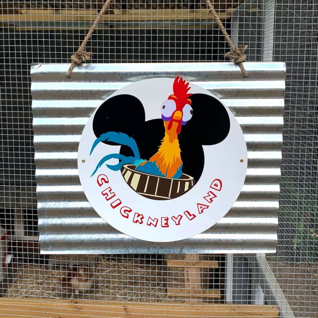 Arte en metal corrugado para gallineros con la inscripción «Chickneyland» (Tierra de pollos).