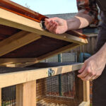 Opening the lockable lid of The Quail Pod coop design for keeping backyard quail