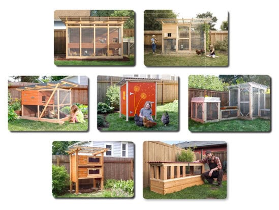 Bundle of DIY backyard chicken and quail coop plans