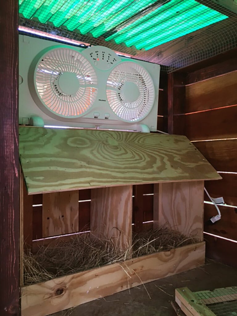 Ventilador eléctrico para refrescar el gallinero