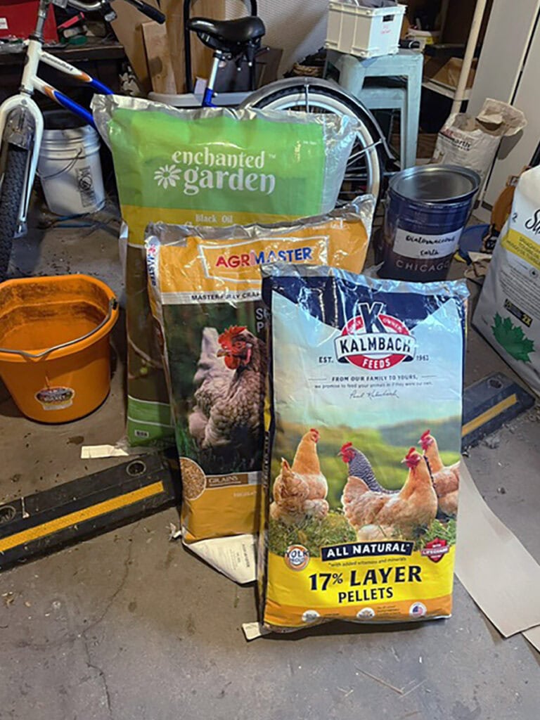 Sacos de pienso vacíos rellenos con aislante R11 para mantener el calor en el gallinero
