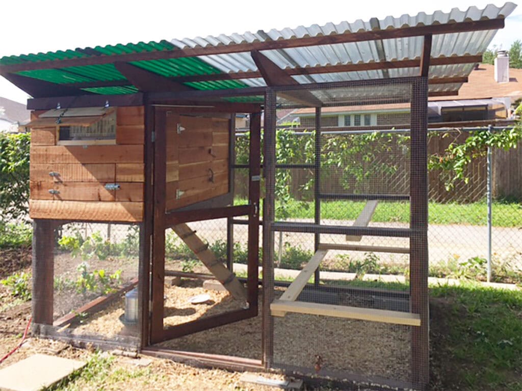 Gallinero construido para soportar el calor de Texas